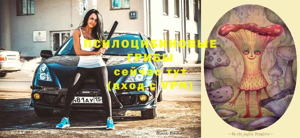 дурь Майский