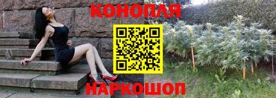 прущие крисы Донской