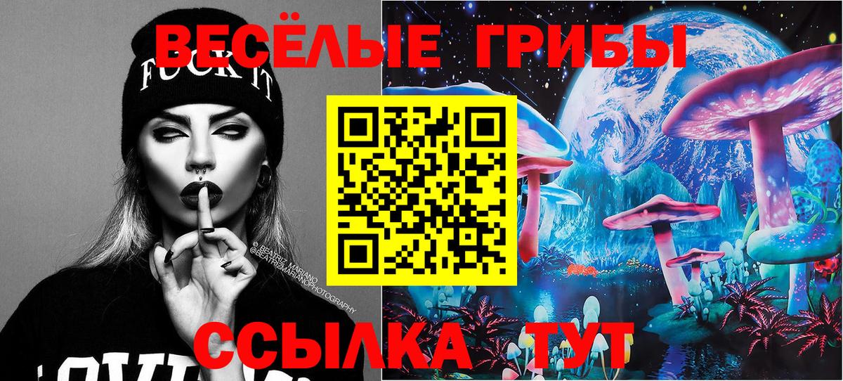 Псилоцибиновые грибы Psilocybine cubensis Миасс